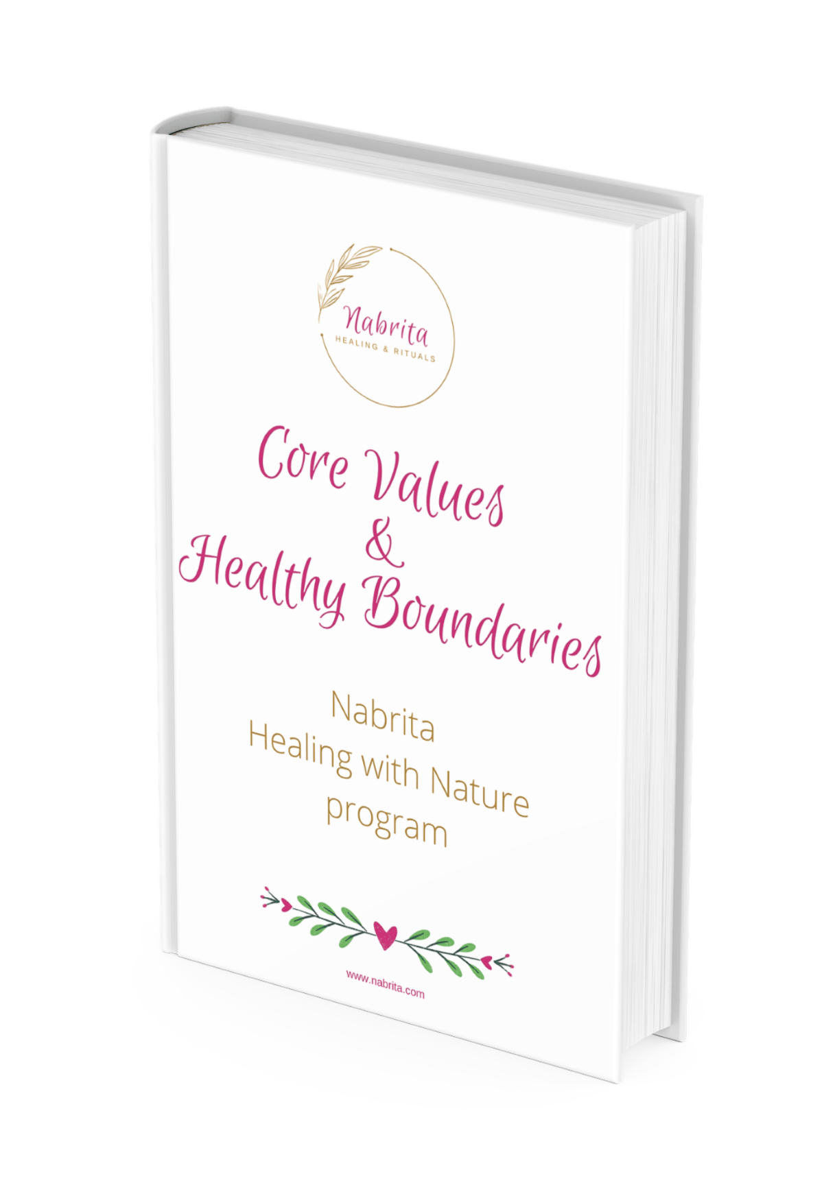 cover Guidebook Values book_