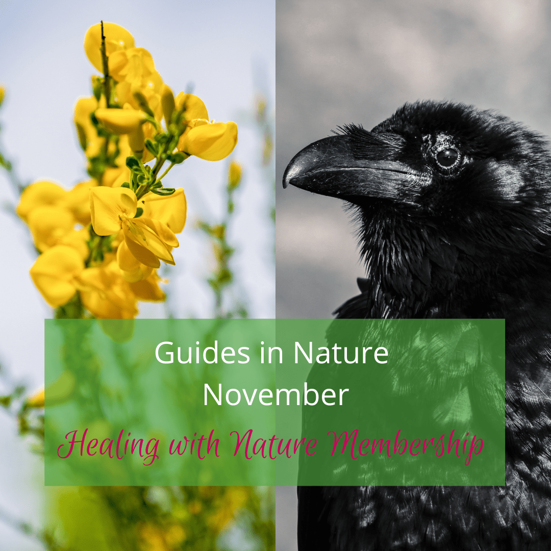 Nabrita Healing with Nature October_Nature Guides
