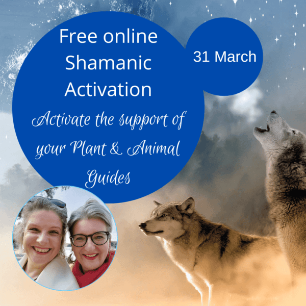 Shamanic Activation webinar